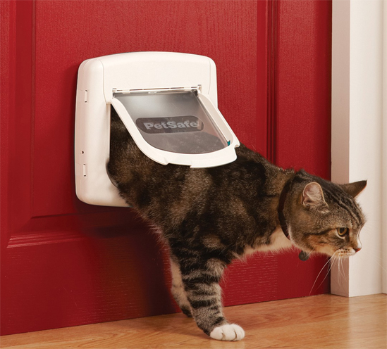 cat flap collar