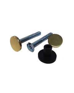 Polished Brass Flat Head Mirror Screws